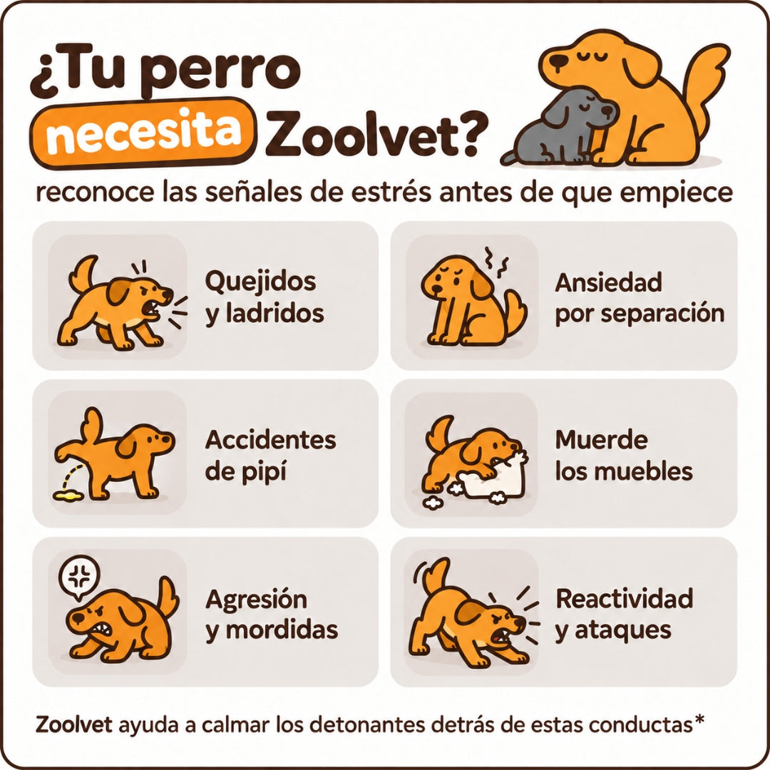 Kit Difusor Calmante para Perros